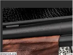 Sites similar to yildizshotgun.com