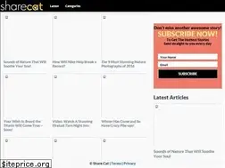 Sites similar to yimmysbodyshop.com