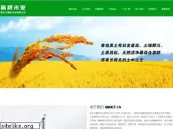 Sites similar to yingqiumiye.com