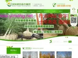 Sites similar to yinxing.net