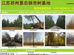 Sites similar to yinxing3.com