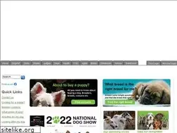 Sites similar to ykc.org.nz