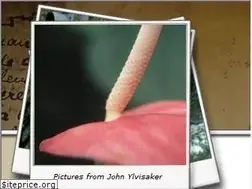 Sites similar to ylvisaker.com