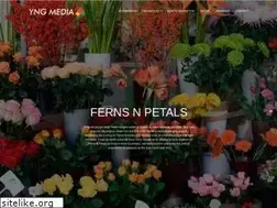 Sites similar to yngmedia.com