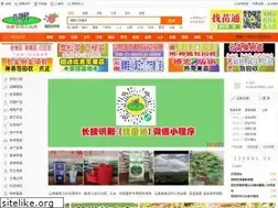 Sites similar to ynsnw.com