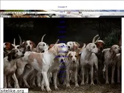 Sites similar to yoamolaliteratura.com