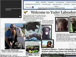 Sites similar to yoderlabradors.com