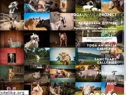 Sites similar to yogaanimalia.com