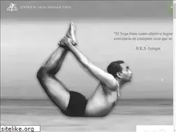 Sites similar to yogaiyengarperu.com