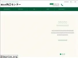 Sites similar to yokohamasitougeicenter.com