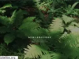 Sites similar to yokouchi-t.com