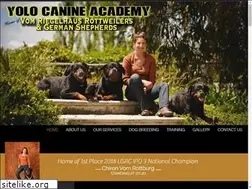 Sites similar to yolocanineacademy.com