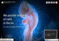 Sites similar to yoneproduction.jp