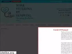 Sites similar to york-vet.com