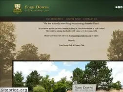 Sites similar to yorkdowns.com