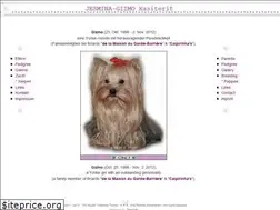 Sites similar to yorkie-ltd.com