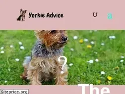 Sites similar to yorkieadvice.com