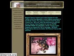 Sites similar to yorkiebabies.com