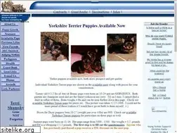 Sites similar to yorkiebaby.com