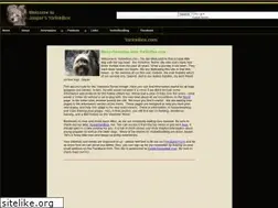 Sites similar to yorkiebox.com