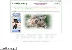 Sites similar to yorkiemini.com