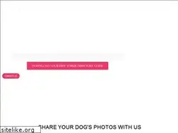 Sites similar to yorkiepassion.com