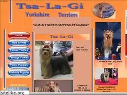 Sites similar to yorkieshowdogs.com
