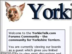 Sites similar to yorkietalk.com