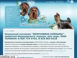 Sites similar to yorkshire-club.ru