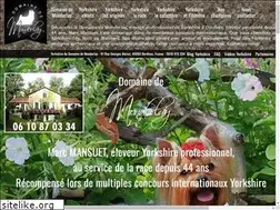 Sites similar to yorkshire-terrier.fr