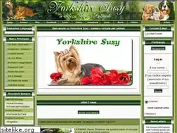 Sites similar to yorkshiresusy.com