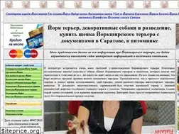 Sites similar to yorkshireterrier.abc64.ru