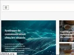Sites similar to yorkyclub.com