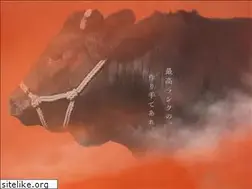 Sites similar to yoro-meat.co.jp