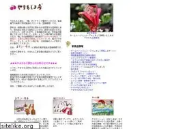 Sites similar to yosakoinaruko.net