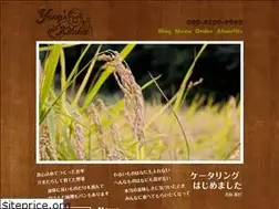Sites similar to yossys-kitchen.com