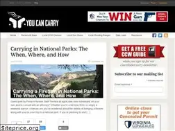 Sites similar to youcancarry.com