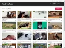 Sites similar to youcrazytube.com