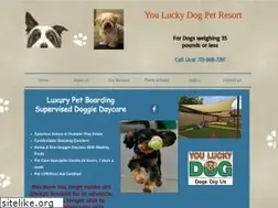 Sites similar to youluckydoghouston.com