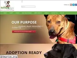 Sites similar to youluckydogrescue.org