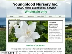 Sites similar to youngbloodnursery.com