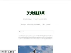 Sites similar to youngco.com