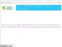 Sites similar to younginitiative.org