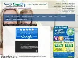 Sites similar to youngscarpetcleaning.com