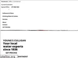 Sites similar to youngsculligan.com