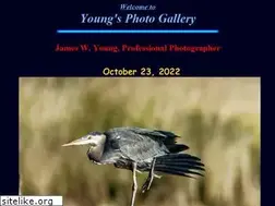 Sites similar to youngsphotogallery.com