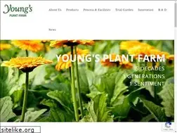 Sites similar to youngsplantfarm.com