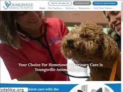 Sites similar to youngsvilleanimalhospital.com