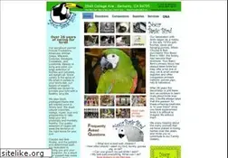 Sites similar to yourbasicbird.com