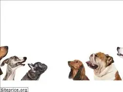 Sites similar to yourdogsbestfriend.org